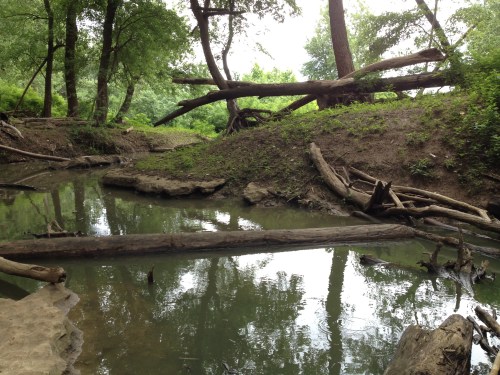 End of the Woodland Loop Trail, Falls of the Ohio, June 2015