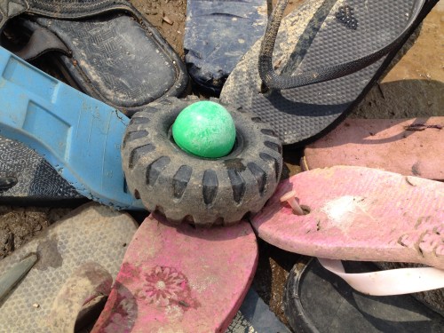Giant Mud Flower detail, Falls of the Ohio, July 2015