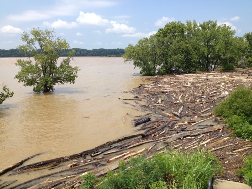 Muddy flood waters below the Falls Interpretive Center, July 2015