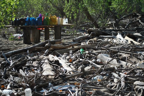 The Western Petroleum Rainbow assemblage, Falls of the Ohio, early August 2015