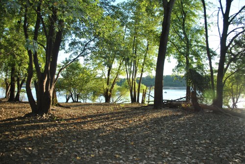 Sunset at the Falls of the Ohio, early August 2015