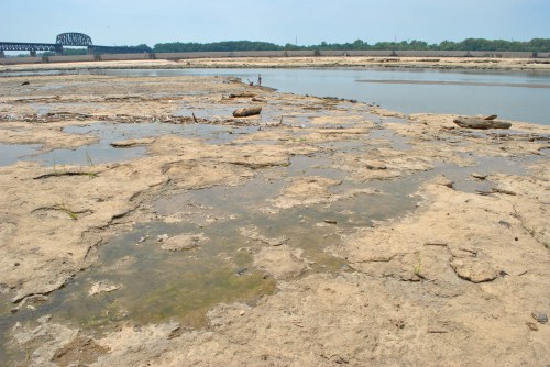 Exposed fossil beds at the Falls of the Ohio, mid August 2015