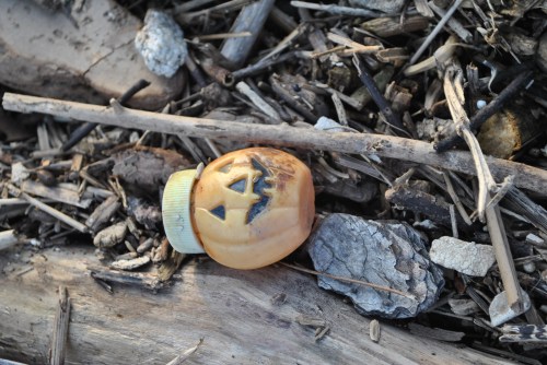 Small, plastic jack-o-lantern bottle laying in the driftwood, Falls of the Ohio, 2015