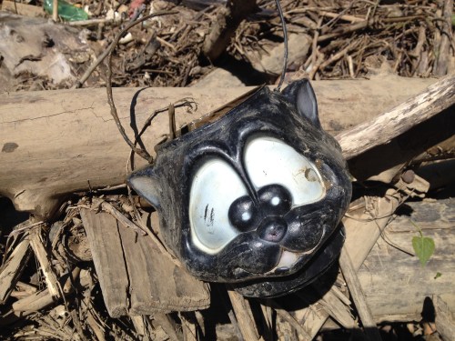 Plastic black cat head candy carrier, Falls of the Ohio, 2015