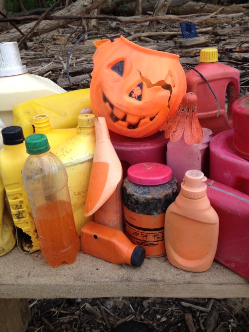 Orange plastic jack-o-lantern with other river found objects, Falls of the Ohio, 2015