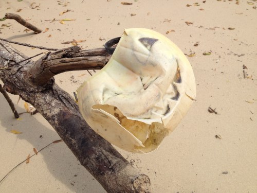Destroyed plastic jack-o-lantern at the Falls of the Ohio, 2015