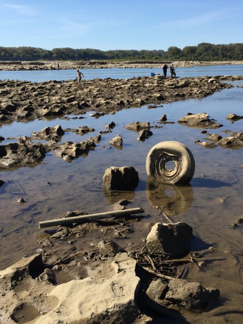 Fishing at the exposed fossil beds at the Falls of the Ohio, Oct. 2015