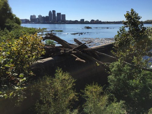Skyline of Louisville as seen from the Falls of the Ohio State Park, Oct. 2015