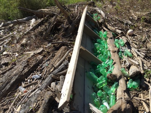 Green Bottles, Falls of the Ohio, October 2015