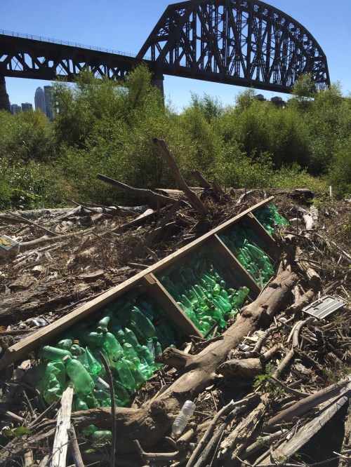 Green Bottle piece at the Falls of the Ohio, October 2015