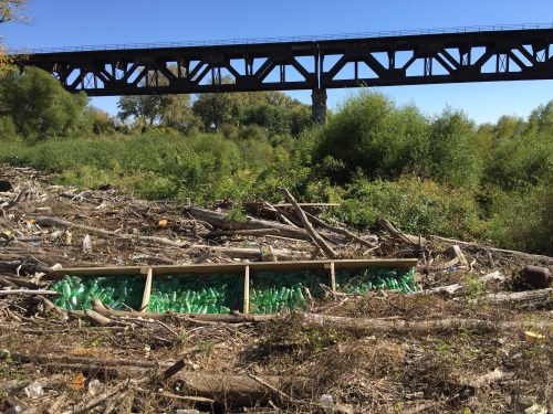 Green Bottles, Falls of the Ohio, October 2015