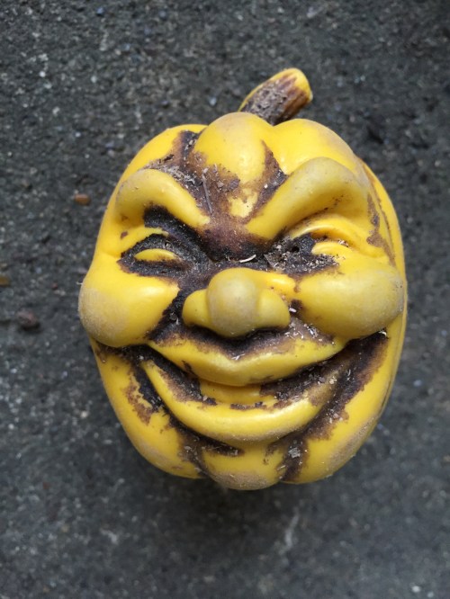 Expressive face, plastic jack-o-lantern, Falls of the Ohio, 2015