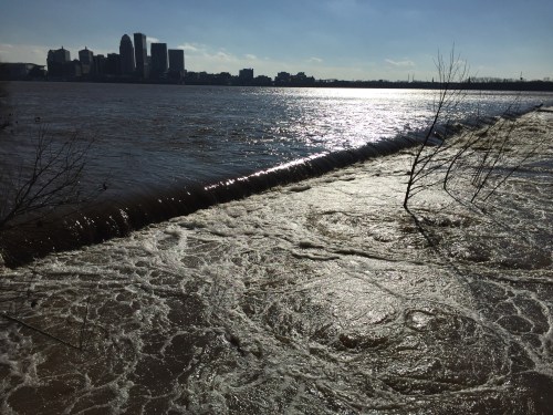 City of Louisville as seen from the Falls of the Ohio, Jan. 1, 2016