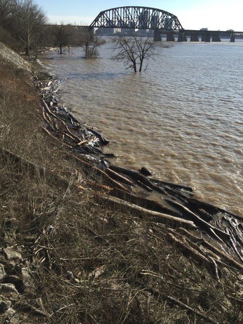 The Ohio River elevated at the Falls of the Ohio, Jan. 1, 2016