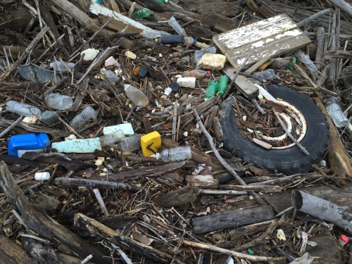 Junk on the driftwood pile, Falls of the Ohio, Jan. 14, 2016