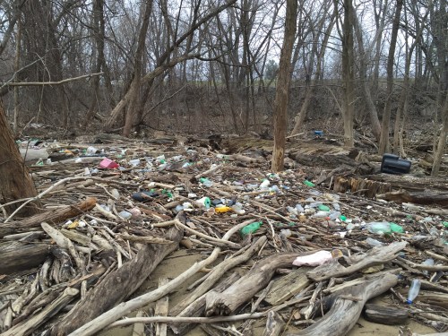 Trash intermixed into the driftwood, Jan. 14, 2016