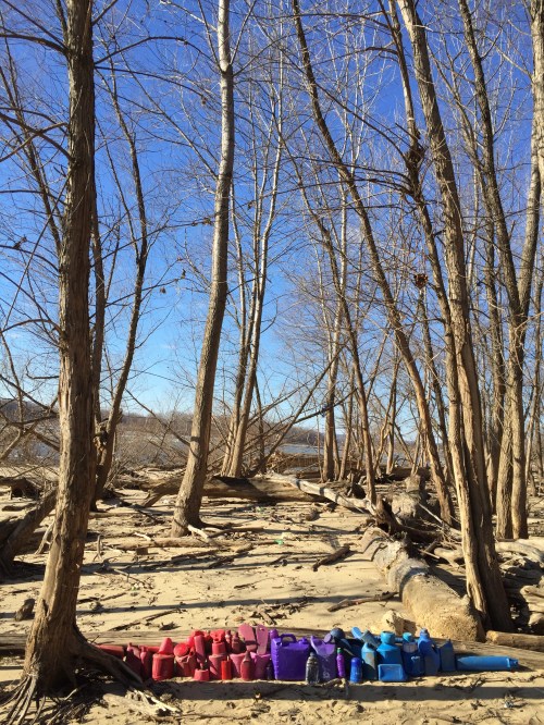 Arrangement in Red and Blue Plastic, Falls of the Ohio, Jan. 18, 2016