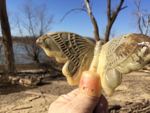 Plastic Thumb Moth, Falls of the Ohio, Jan. 30, 2016