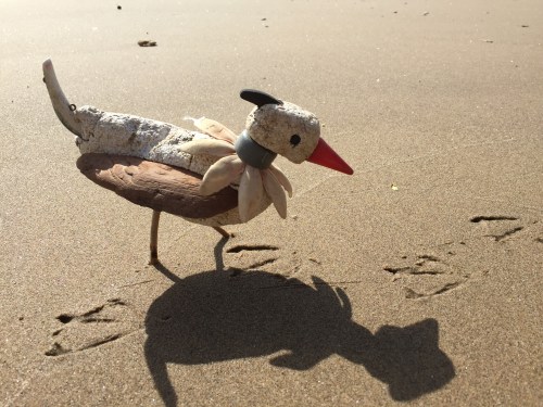 Heisenberg's Hammerkopf investigating goose tracks, Falls of the Ohio, March 20, 2016